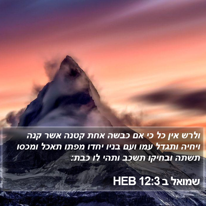 שמואל ב 12:3 HEB Bible Study