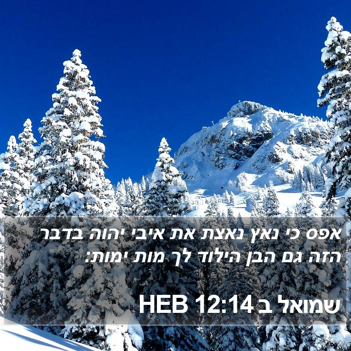 שמואל ב 12:14 HEB Bible Study