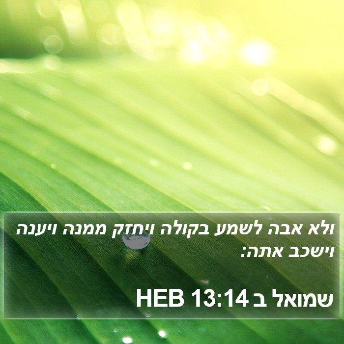 שמואל ב 13:14 HEB Bible Study