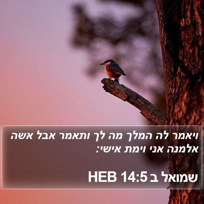 שמואל ב 14:5 HEB Bible Study