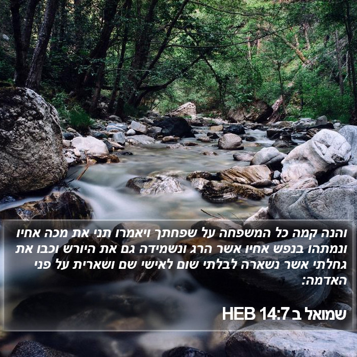 שמואל ב 14:7 HEB Bible Study