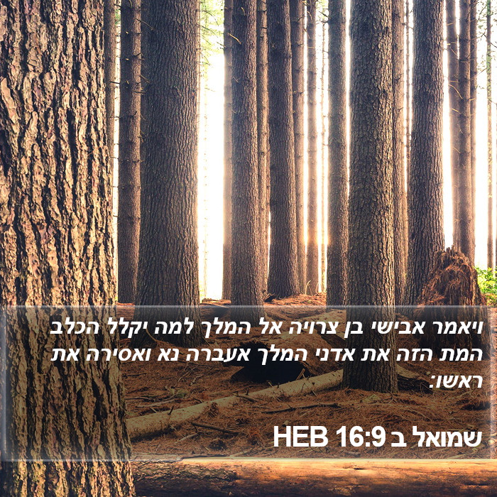 שמואל ב 16:9 HEB Bible Study