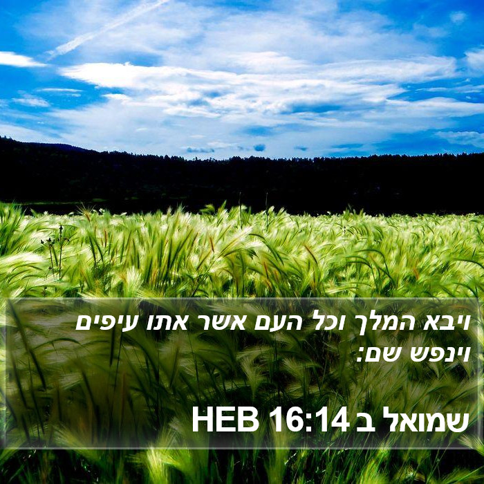 שמואל ב 16:14 HEB Bible Study