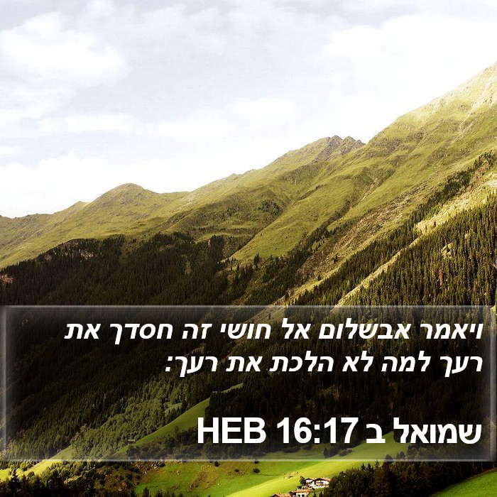 שמואל ב 16:17 HEB Bible Study