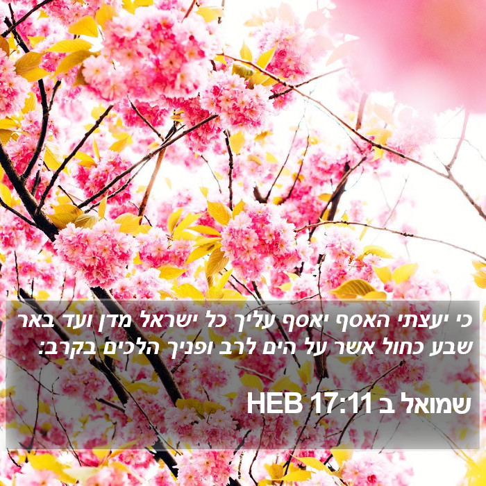 שמואל ב 17:11 HEB Bible Study