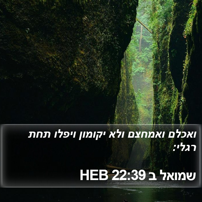 שמואל ב 22:39 HEB Bible Study