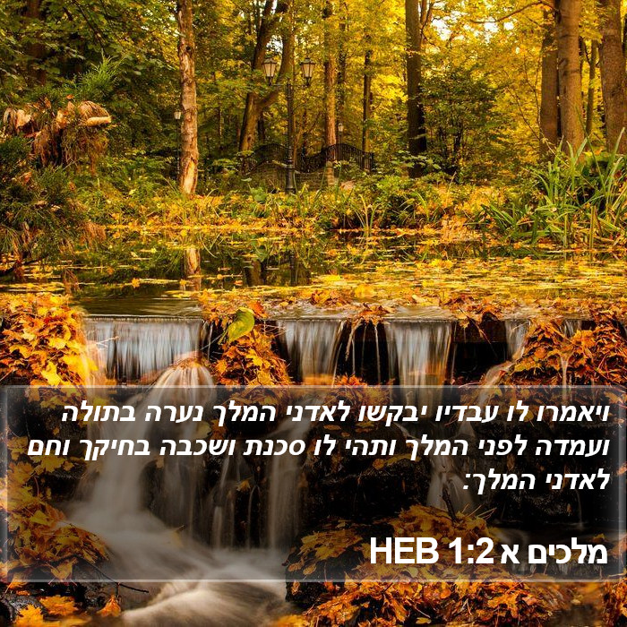 מלכים א 1:2 HEB Bible Study