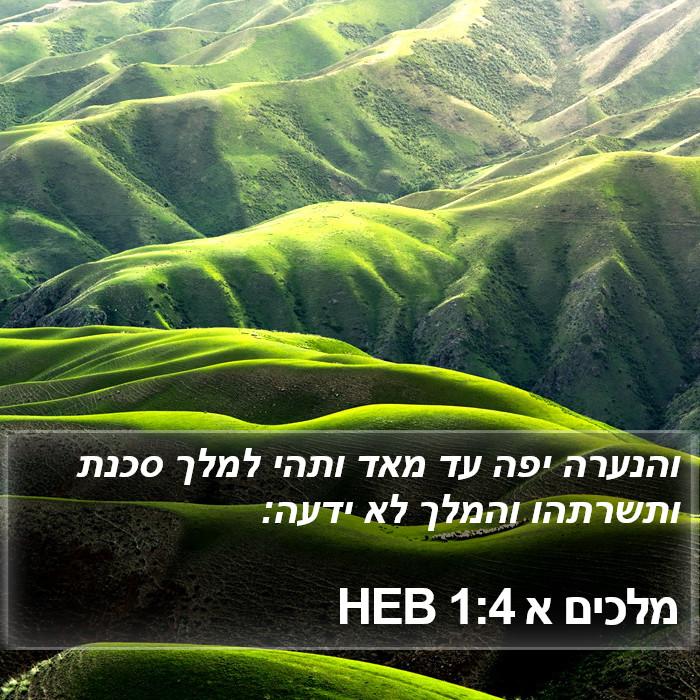 מלכים א 1:4 HEB Bible Study