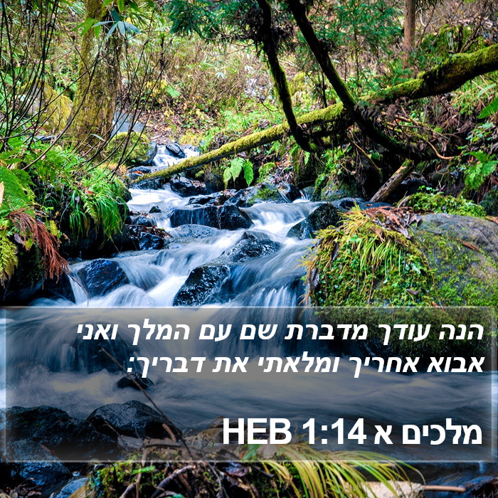 מלכים א 1:14 HEB Bible Study