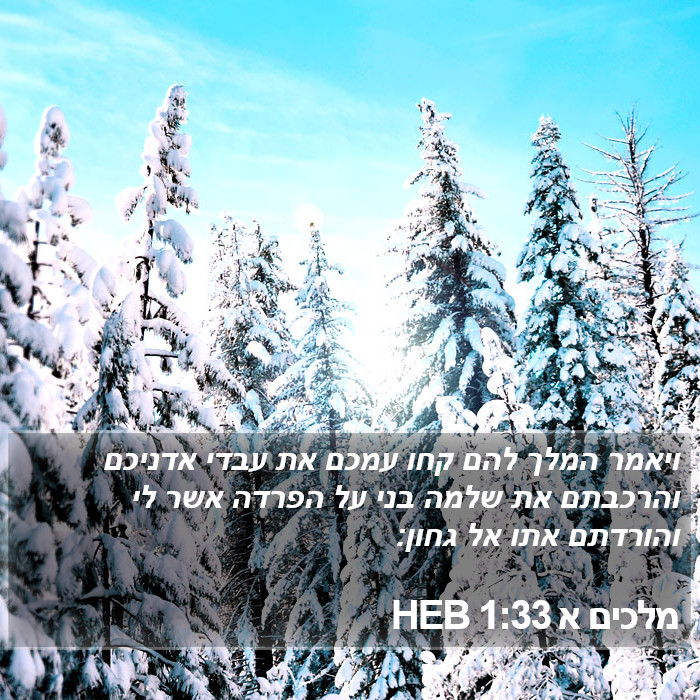 מלכים א 1:33 HEB Bible Study