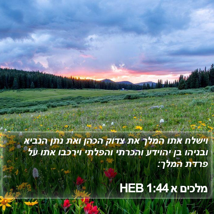 מלכים א 1:44 HEB Bible Study