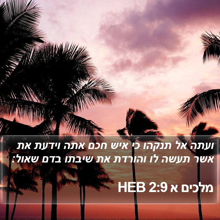מלכים א 2:9 HEB Bible Study