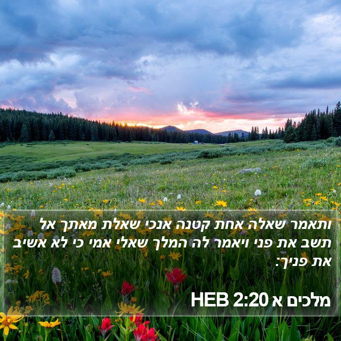 מלכים א 2:20 HEB Bible Study