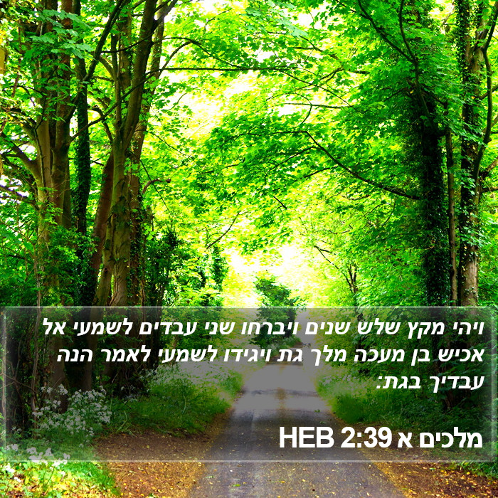 מלכים א 2:39 HEB Bible Study