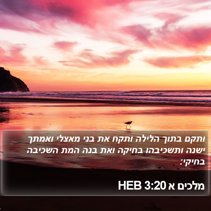 מלכים א 3:20 HEB Bible Study