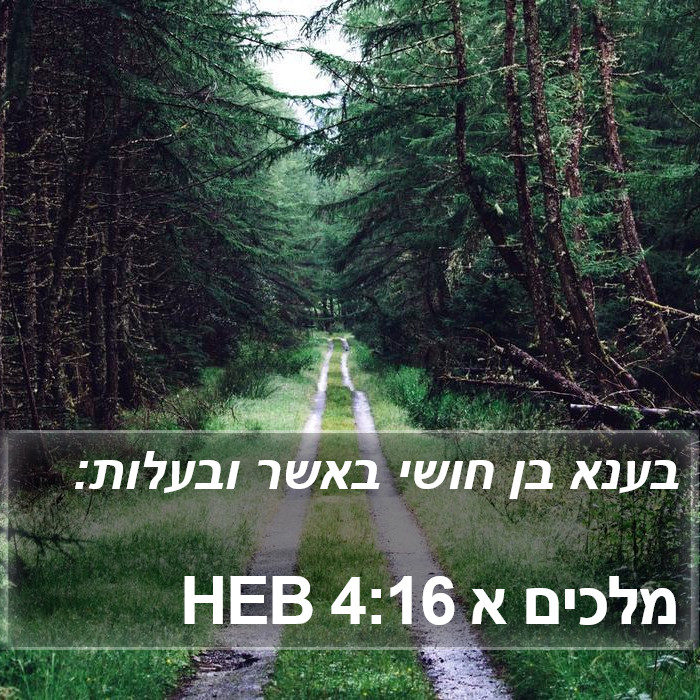 מלכים א 4:16 HEB Bible Study