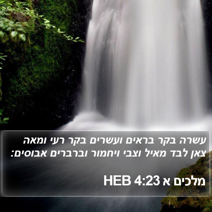 מלכים א 4:23 HEB Bible Study