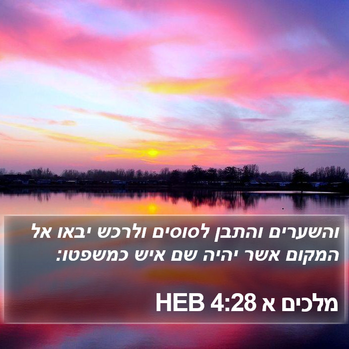 מלכים א 4:28 HEB Bible Study