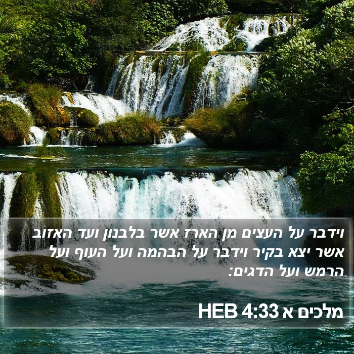 מלכים א 4:33 HEB Bible Study