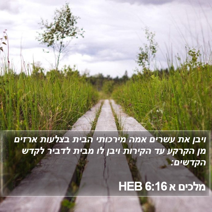 מלכים א 6:16 HEB Bible Study