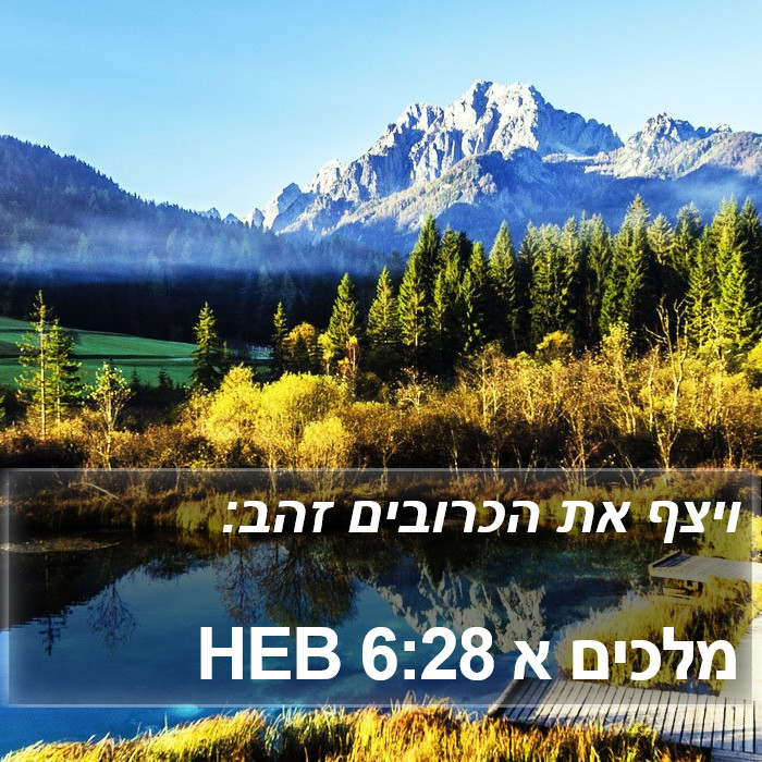 מלכים א 6:28 HEB Bible Study