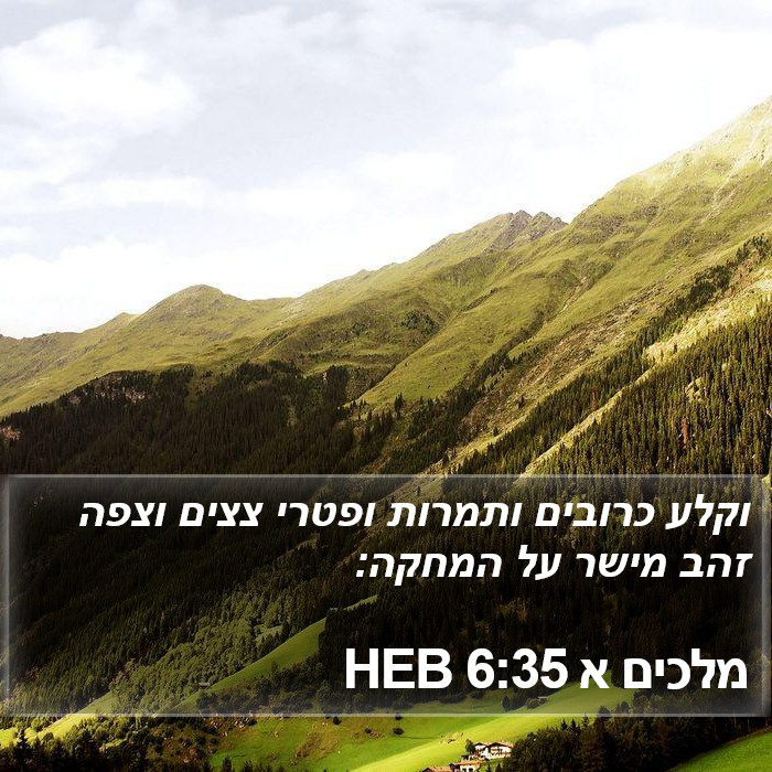 מלכים א 6:35 HEB Bible Study