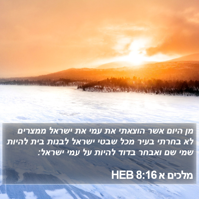 מלכים א 8:16 HEB Bible Study