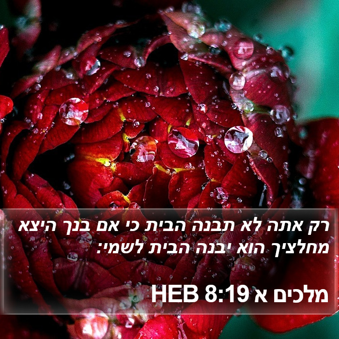 מלכים א 8:19 HEB Bible Study