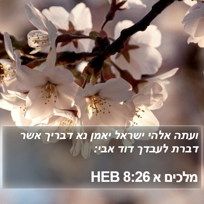 מלכים א 8:26 HEB Bible Study