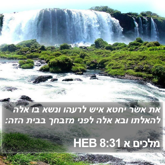 מלכים א 8:31 HEB Bible Study