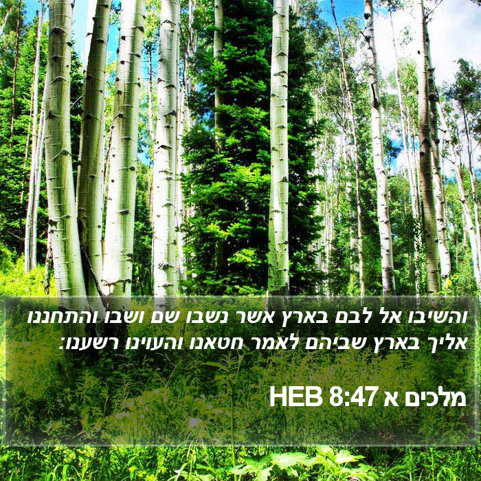 מלכים א 8:47 HEB Bible Study