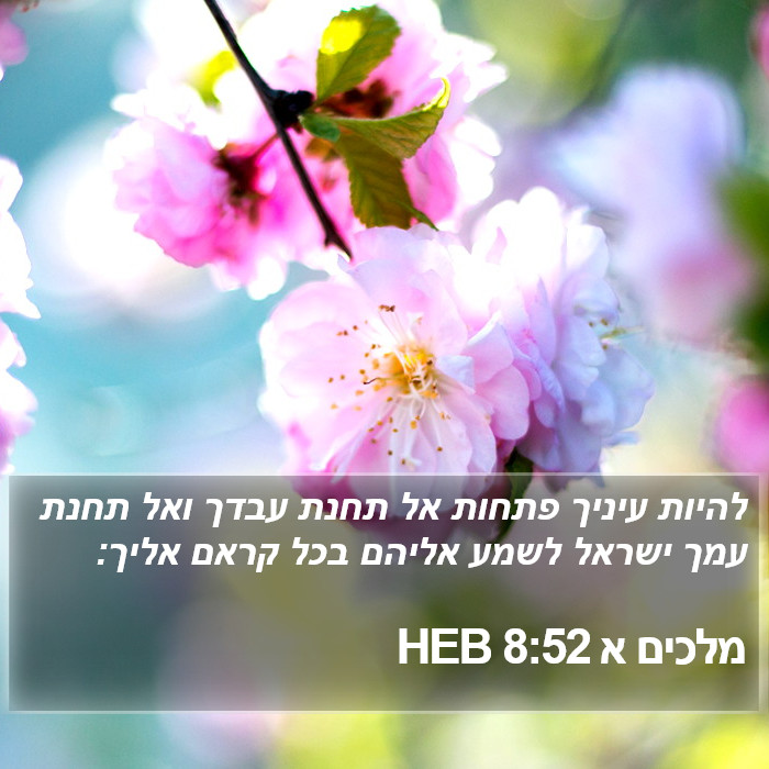 מלכים א 8:52 HEB Bible Study