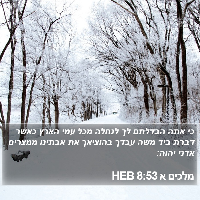 מלכים א 8:53 HEB Bible Study