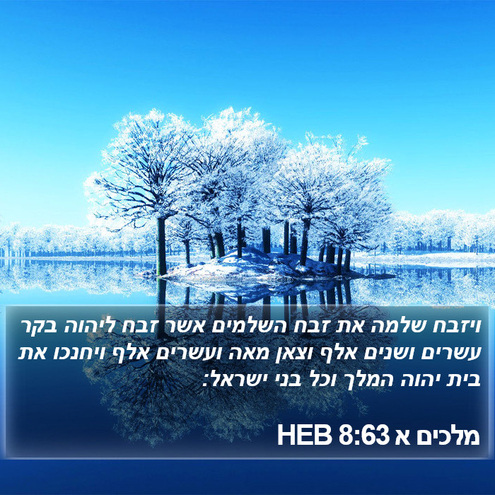 מלכים א 8:63 HEB Bible Study
