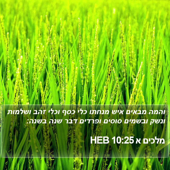 מלכים א 10:25 HEB Bible Study