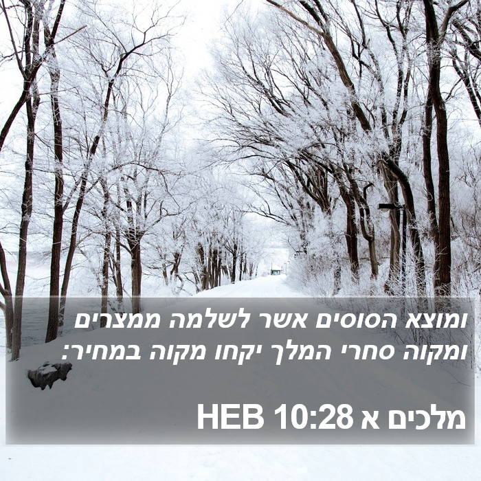 מלכים א 10:28 HEB Bible Study