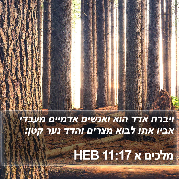 מלכים א 11:17 HEB Bible Study