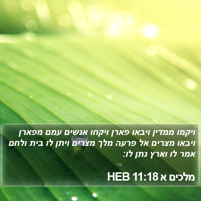 מלכים א 11:18 HEB Bible Study