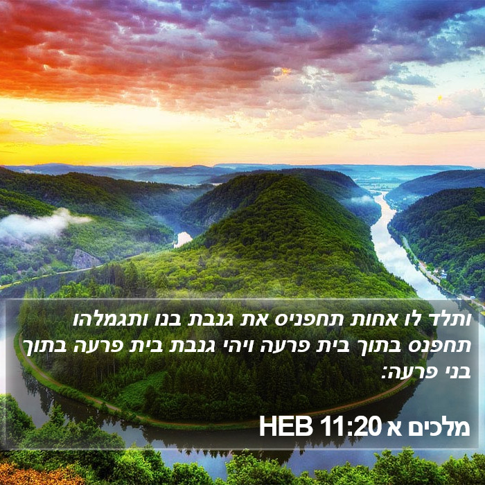 מלכים א 11:20 HEB Bible Study