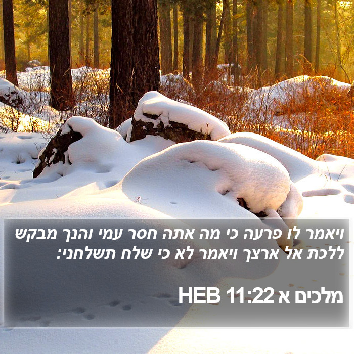 מלכים א 11:22 HEB Bible Study