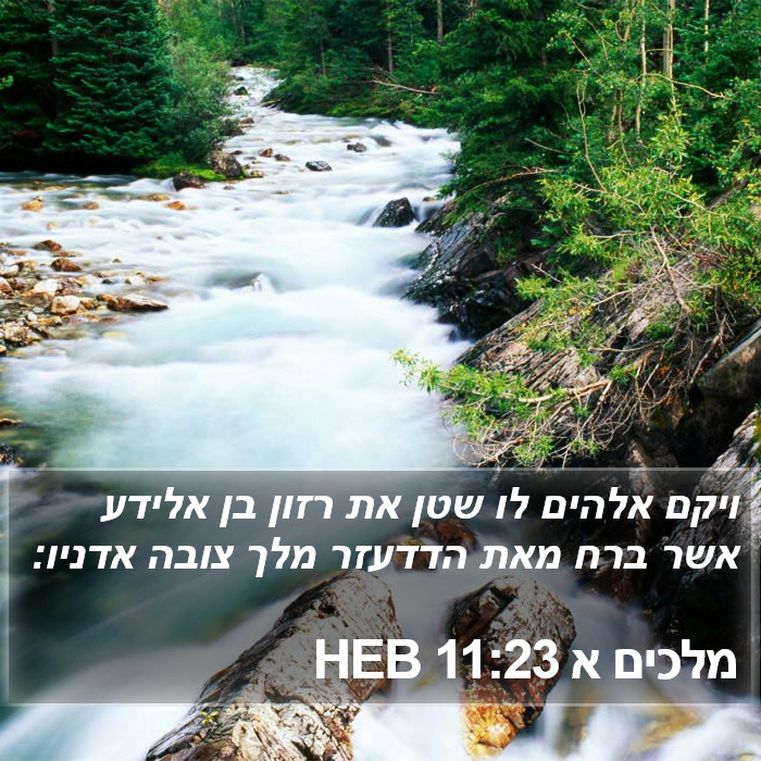 מלכים א 11:23 HEB Bible Study