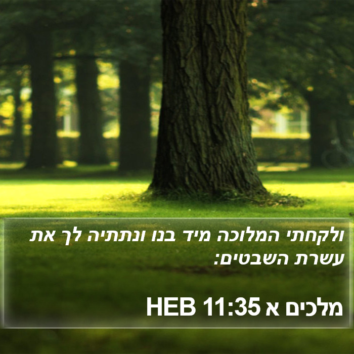 מלכים א 11:35 HEB Bible Study