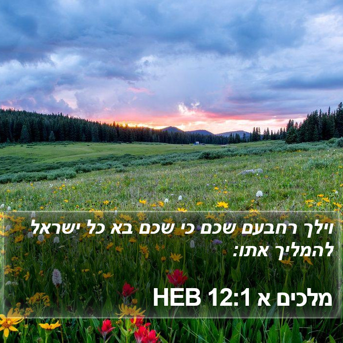 מלכים א 12:1 HEB Bible Study