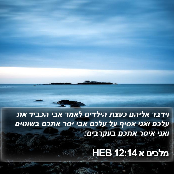 מלכים א 12:14 HEB Bible Study