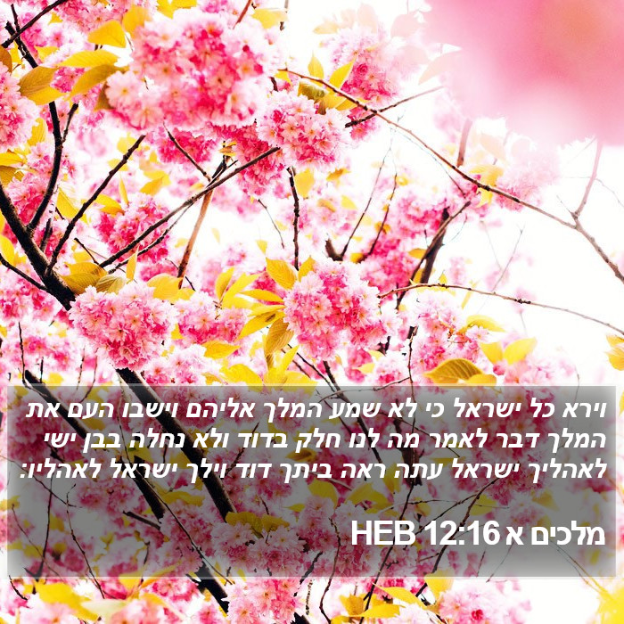 מלכים א 12:16 HEB Bible Study