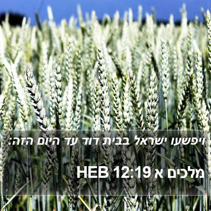 מלכים א 12:19 HEB Bible Study