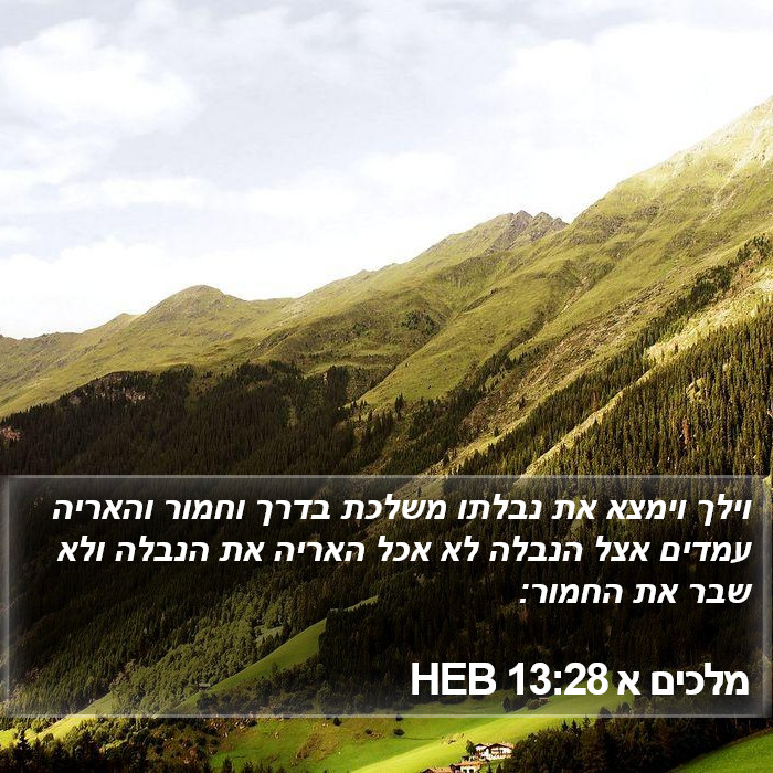 מלכים א 13:28 HEB Bible Study