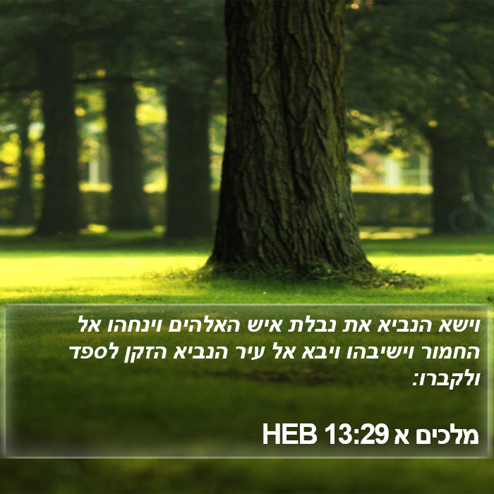 מלכים א 13:29 HEB Bible Study