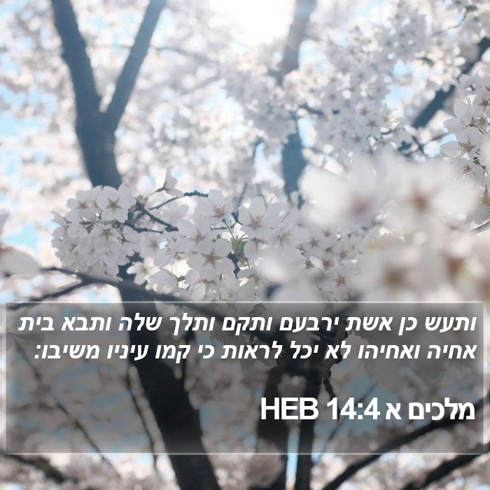 מלכים א 14:4 HEB Bible Study