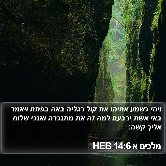 מלכים א 14:6 HEB Bible Study